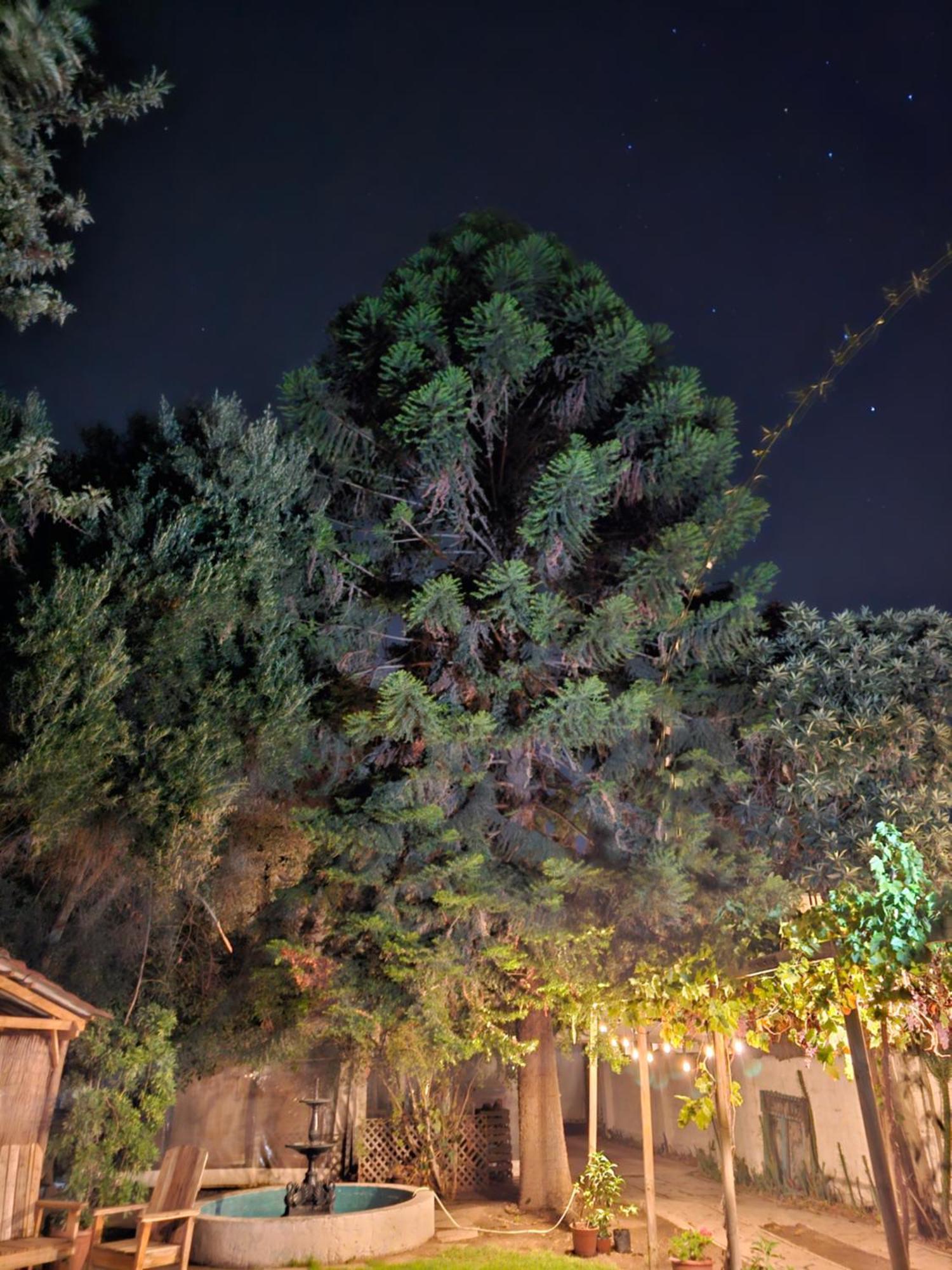 La Araucaria Cabana Con Tinaja Сан-Фелипе Экстерьер фото