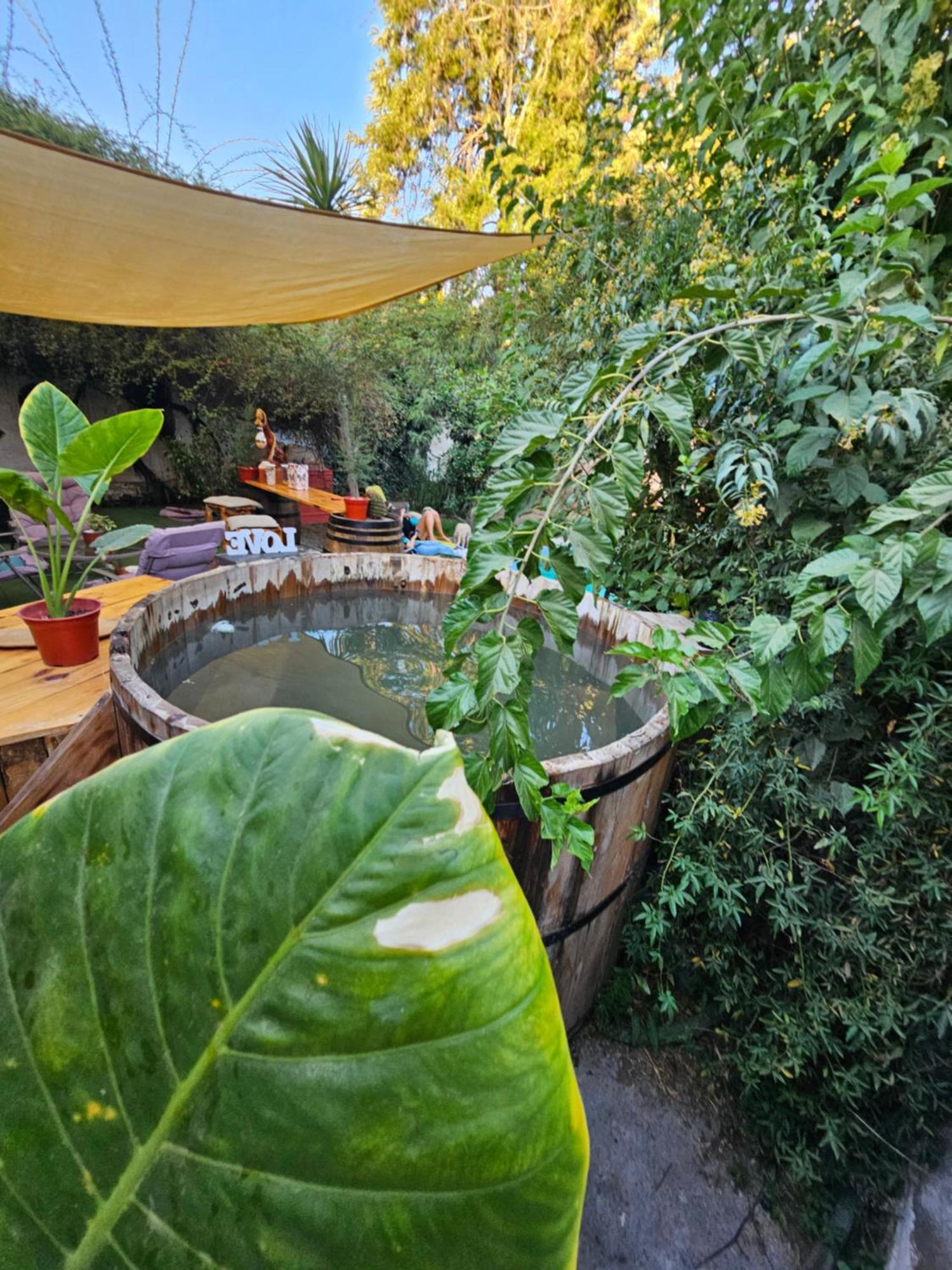 La Araucaria Cabana Con Tinaja Сан-Фелипе Экстерьер фото